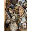 Image 2 : Flat Box Of Assorted Collectible Rocks
