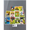Image 1 : 11 1973 Fleer Crazy Magazine Covers Stickers