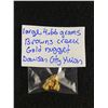Image 1 : Large 4.66 Grams Browns Creek Gold Nugget. Dawson City, Yukon