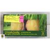Image 1 : NEW 2 PACK CITRONELLA CANDLES IN TERRA COTTA POTS