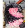 Image 1 : BOX OF BOAS