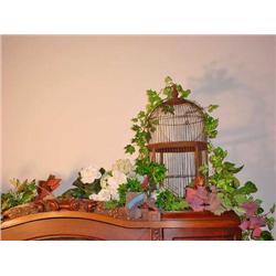 Bird Cage/Greenery