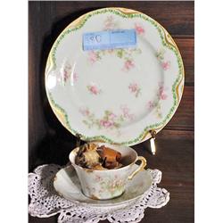 Haviland Plate/Limoges Cup & Saucer