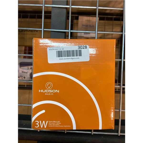 Hudson Bulbs co. flame effect LED light bulbs, pack of 2