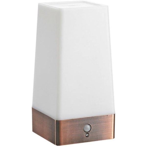 barenx Wireless PIR Motion Sensor LED Night Light Table Lamp