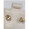 Image 3 : Silver Citrine(0.5ct) Earrings, Made in Canada, Suggested Retail Value $120