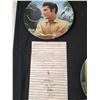 Image 8 : 16 Assorted "Elvis" Collector Plates