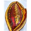 Image 2 : Sunburst 11 Canada Ashtray