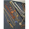 Image 2 : Assorted costume jewelry