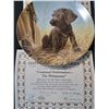 Image 2 : 12 Decorative Plates