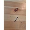 Image 3 : Wooden desk