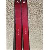 Image 3 : Downhill Skis and Boots - Made in Austria