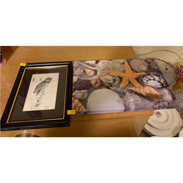 "Great Horned Owl" by Edgar J Jones 1977 and Picture of Seashells