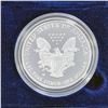 Image 2 : 2007-W Silver Eagle