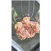 Image 2 : NATURAL ARAGONITE SPECIMEN 2" RETAILS $500