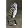 Image 2 : AMETHYST TITANIUM AURA RETAILS 6" $380
