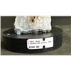 Image 3 : BLACK TOURMALINE BONSAI TREE RETAILS $300