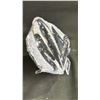 Image 2 : ORTHOCERAS FOSSIL SPECIMEN 5.8" RETAILS $1100