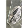 Image 2 : ORTHOCERAS FOSSIL SPECIMEN 5" RETAILS $600