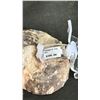 Image 3 : AMMONITE FOSSIL RETAILS $300
