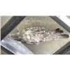 Image 2 : RARE BLACK KYANITE RETAILS $400