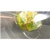 Image 2 : PERIDOT STONE RETAILS $380