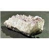 Image 2 : BONSAI GEM TREE & AMETHYST STONE