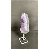 Image 3 : 6" AMETHYST CLUSTER ON STAND RETAIL $400