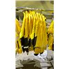 Image 2 : 10 DECOY SPORTSWEAR RAIN COAT (ALL ARE SIZE MED)