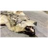 Image 3 : WOLF PELT RUG DAMAGED CONDITION