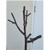 Image 3 : Vintage Cast Iron Tree Shaped Coat Rack