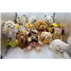 Image 1 : Teddy Bear Lot