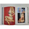 Image 2 : The Great American Pin-Up Book