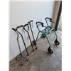 Image 2 : Walker and Cane Lot