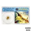 1857 49er CA Pinch of Gold S.S. Shipwreck Cen. Am.