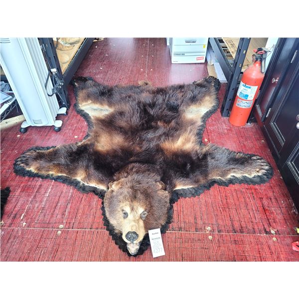 Bear Skin Rug A