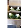 Image 1 : NEW CASE OF LEMON LIME SLUSH KING SYRUP