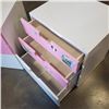 Image 2 : 2 PC PINK SRTORAGE CABINETS