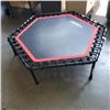 Image 2 : TRAMPOLINE