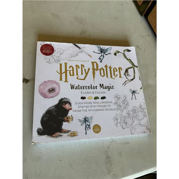 Harry Potter watercolor magic