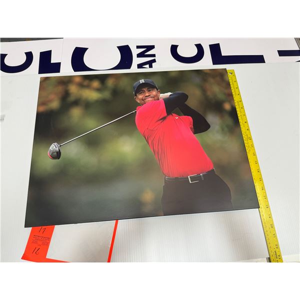 Tiger Woods wall hanging