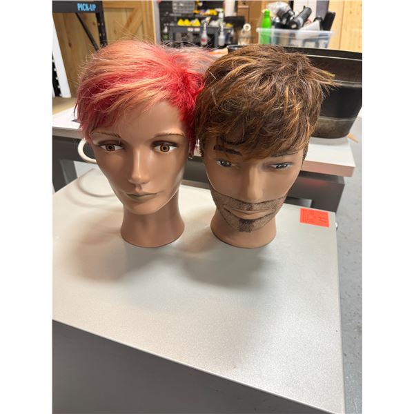 Model heads