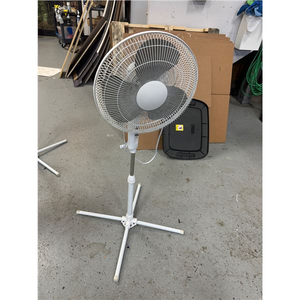 Floor fan
