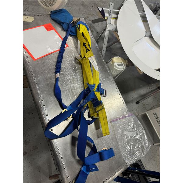 Safety harness