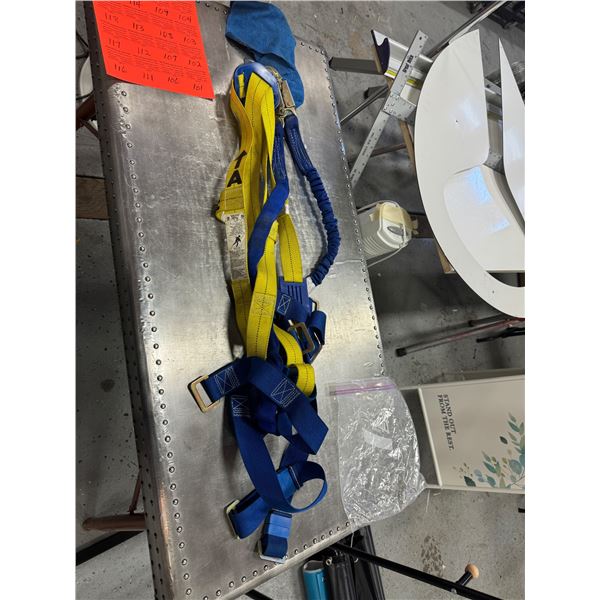 Safety harness