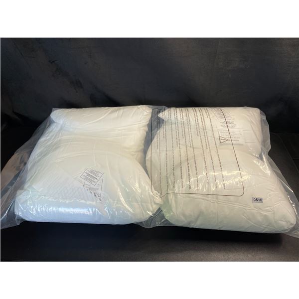 Lot of 1 Pack of 2 Pillows - 12 x 20 in - Brand New