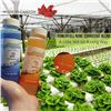 Image 3 : Lot of 2 Standard Hydroponics Soil pH Up and Down Kit - 10oz Liquid Nutrient Solutions for Plants