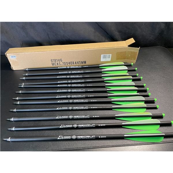 Lot of 1 12-Pack of 20-inch Carbon Crossbow Bolts - Brand New