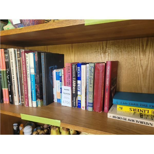 Train and railroad books A