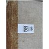 Image 2 : Beige and Brown Area Rug - 5'  X  7'